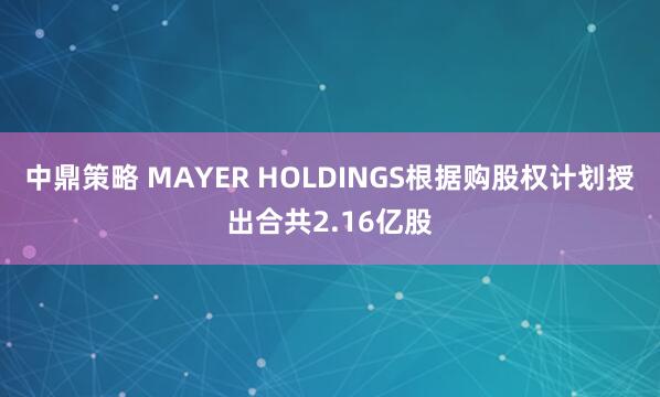 中鼎策略 MAYER HOLDINGS根据购股权计划授出合共2.16亿股