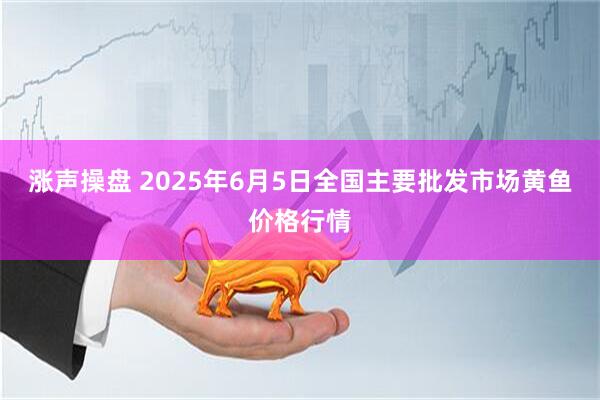 涨声操盘 2025年6月5日全国主要批发市场黄鱼价格行情