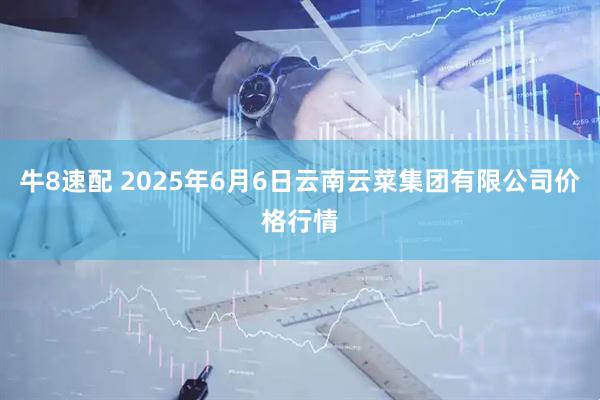 牛8速配 2025年6月6日云南云菜集团有限公司价格行情