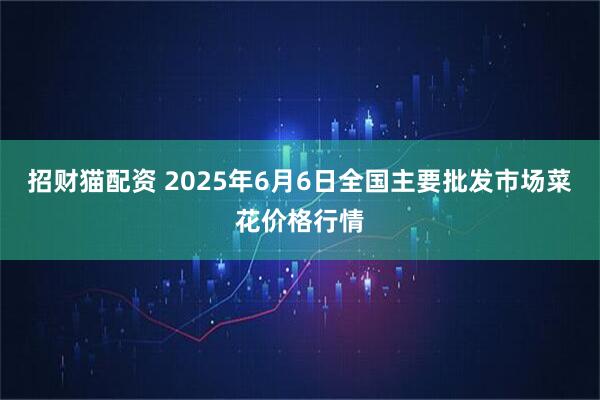 招财猫配资 2025年6月6日全国主要批发市场菜花价格行情