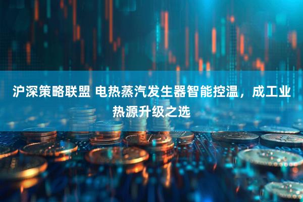 沪深策略联盟 电热蒸汽发生器智能控温，成工业热源升级之选