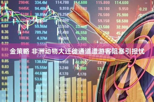 金策略 非洲动物大迁徙通道遭游客阻塞引担忧