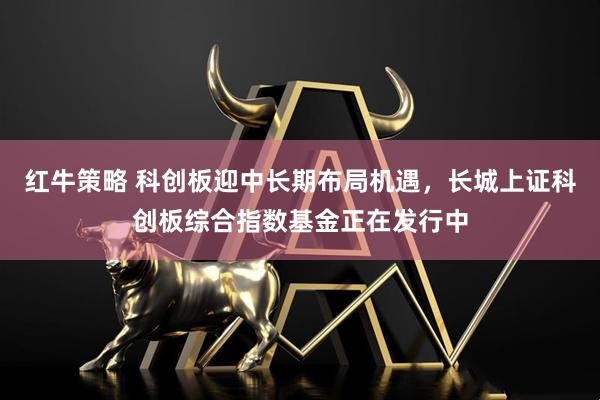 红牛策略 科创板迎中长期布局机遇，长城上证科创板综合指数基金正在发行中